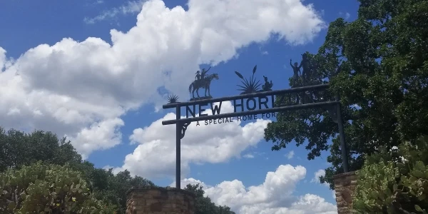 New Horizons - The Ranch